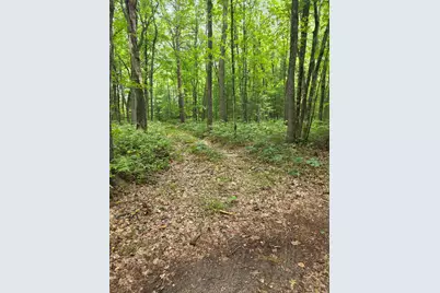 01V/L N Hunters Way, White Cloud, MI 49349 - Photo 1