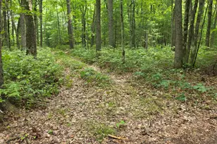 01V/L N Hunters Way, White Cloud, MI 49349 - Photo 1