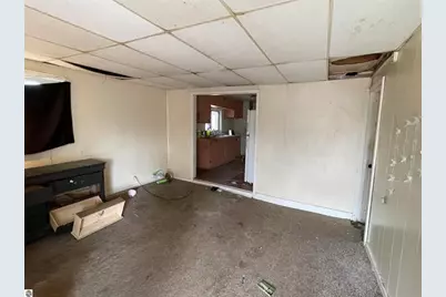 218 Cottage Street, Cadillac, MI 49601 - Photo 25