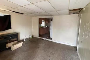 218 Cottage St, Cadillac, MI 49601 - Photo 25