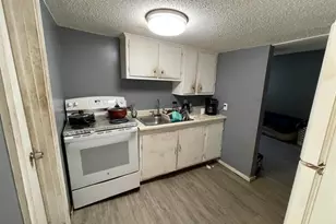 218 Cottage St, Cadillac, MI 49601 - Photo 23