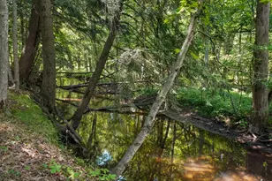 1963 Shaw Rd, Bailey, MI 49303 - Photo 43