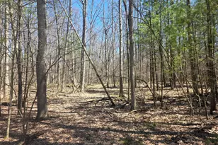 7696 Muskegon Blvd, Newaygo, MI 49337 - Photo 1