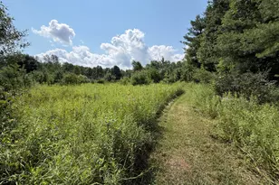 1585 Clinton Ln, White Cloud, MI 49349 - Photo 9