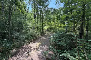 1585 Clinton Ln, White Cloud, MI 49349 - Photo 47
