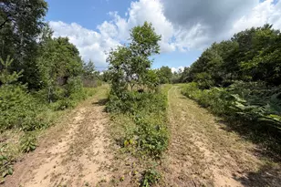 1585 Clinton Ln, White Cloud, MI 49349 - Photo 49