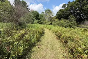 1585 Clinton Ln, White Cloud, MI 49349 - Photo 43