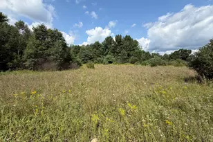 1585 Clinton Ln, White Cloud, MI 49349 - Photo 51