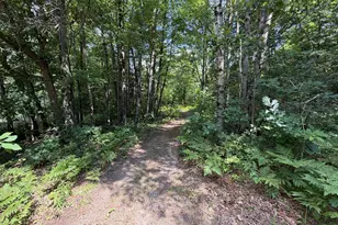 1585 Clinton Ln, White Cloud, MI 49349 - Photo 41