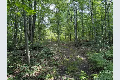 1585 Clinton Lane, White Cloud, MI 49349 - Photo 39