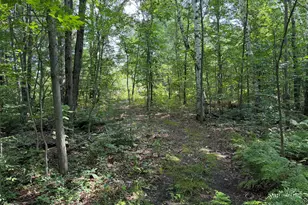 1585 Clinton Ln, White Cloud, MI 49349 - Photo 39