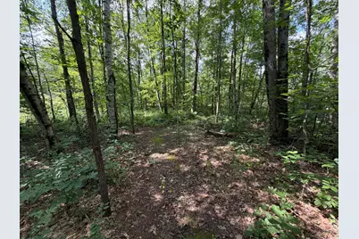 1585 Clinton Lane, White Cloud, MI 49349 - Photo 45