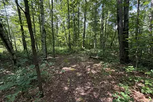 1585 Clinton Ln, White Cloud, MI 49349 - Photo 45