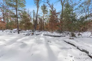 5017 S Sunray Ct, Idlewild, MI 49642 - Photo 29