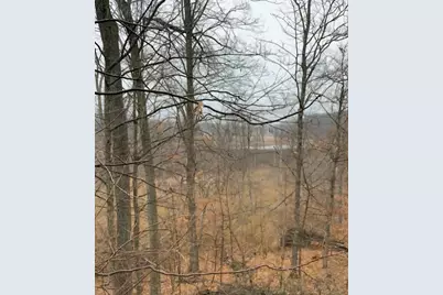 V/L N Q Drive, Marshall, MI 49068 - Photo 63