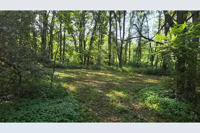 N Q Drive, Marshall, MI 49068 - Photo 45