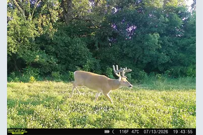 N Q Drive, Marshall, MI 49068 - Photo 65