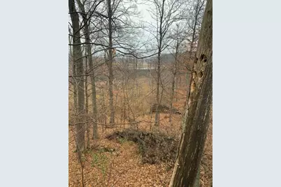 N Q Drive, Marshall, MI 49068 - Photo 63