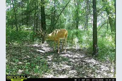 N Q Drive, Marshall, MI 49068 - Photo 43