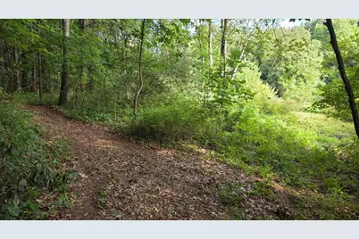 N Q Drive, Marshall, MI 49068 - Photo 39