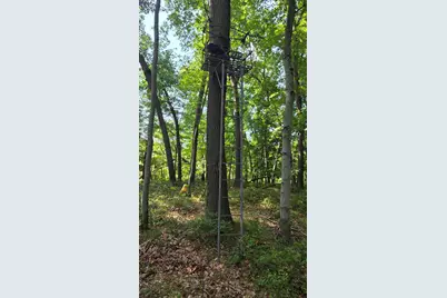 V/L N Q Drive, Marshall, MI 49068 - Photo 61