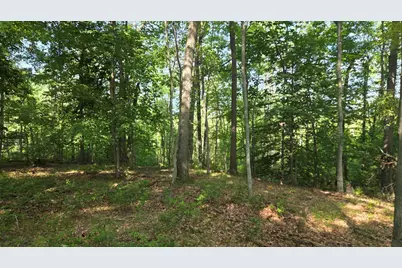 V/L N Q Drive, Marshall, MI 49068 - Photo 69