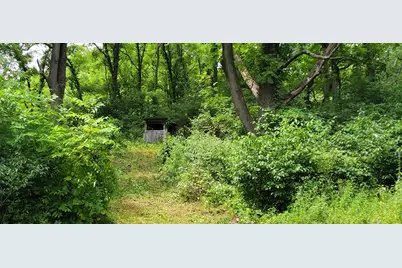 V/L N Q Drive, Marshall, MI 49068 - Photo 59