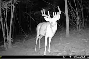 N Q Dr, Marshall, MI 49068 - Photo 1