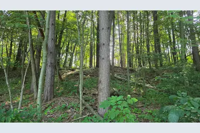 N Q Drive, Marshall, MI 49068 - Photo 53