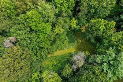 2451 Maute Road, Grass Lake, MI 49240 - Photo 41