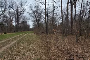 V/L W Mead St, Baldwin, MI 49304 - Photo 1