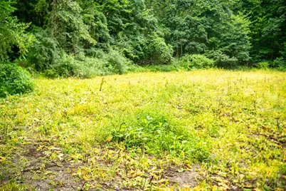 V/L 2000 Ryan Road, Hastings, MI 49058 - Photo 33
