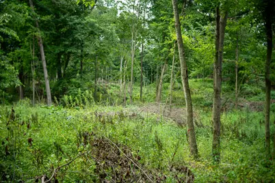 V/L 2000 Ryan Road, Hastings, MI 49058 - Photo 7