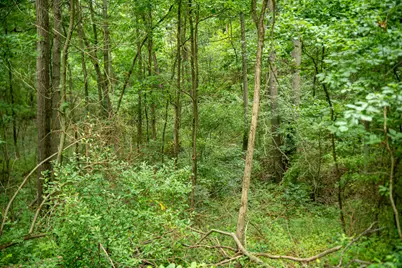 V/L 2000 Ryan Road, Hastings, MI 49058 - Photo 31