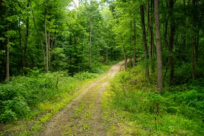 V/L 2000 Ryan Road, Hastings, MI 49058 - Photo 13