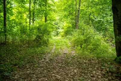 V/L 2000 Ryan Road, Hastings, MI 49058 - Photo 9