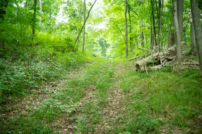 V/L 2000 Ryan Road, Hastings, MI 49058 - Photo 27