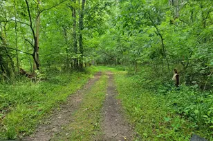 18576 T Dr S, Tekonsha, MI 49092 - Photo 53