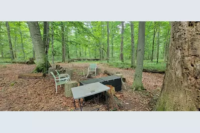 18576 T Drive S, Tekonsha, MI 49092 - Photo 45