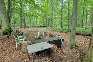 18576 T Dr S, Tekonsha, MI 49092 - Photo 45