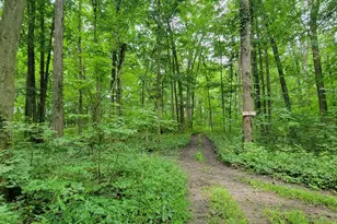 18576 T Dr S, Tekonsha, MI 49092 - Photo 49