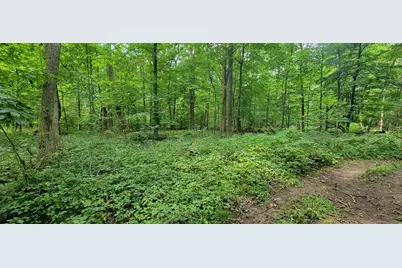 18576 T Drive S, Tekonsha, MI 49092 - Photo 49