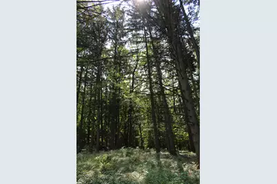 3444 E Pineview Drive, Dexter, MI 48130 - Photo 29