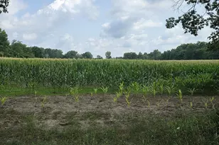 Q Dr South (Parcel 1), Burlington, MI 49029 - Photo 1