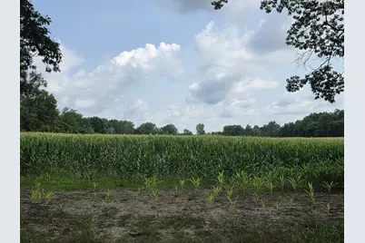 Q Drive South (Parcel 1), Burlington, MI 49029 - Photo 3
