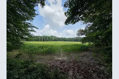 Q Drive South (Parcel 1), Burlington, MI 49029 - Photo 5