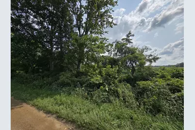13 Mile Rd (Parcel 3), Burlington, MI 49029 - Photo 15