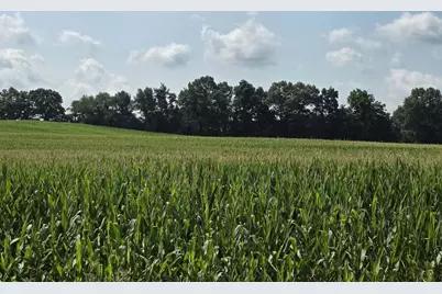13 Mile Rd (Parcel 3), Burlington, MI 49029 - Photo 11