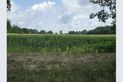 13 Mile Rd (Parcel 3), Burlington, MI 49029 - Photo 3