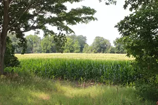 P Dr S (Parcel 4), Burlington, MI 49029 - Photo 1